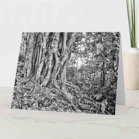 Reuzenkunstkaart regenwoud Zuid-Australië Kaart (Voorkant)