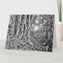 Reuzenkunstkaart regenwoud Zuid-Australië Kaart