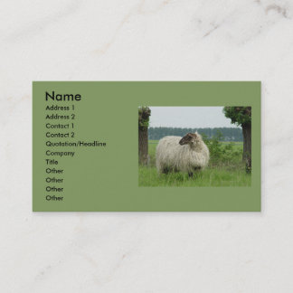 Reuzenloze schapen visitekaartje