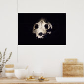 Reuzenmaki Poster (Keuken)