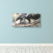Reuzenmiereneter in Zuid-Amerika Canvas Afdruk (Insitu (Houten vloer))