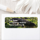 Reuzenmiereneter retouradres label (Insitu)