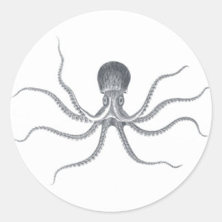 Reuzenoctopus nautisch ontwerp ronde sticker