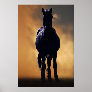 Reuzenpaard Poster