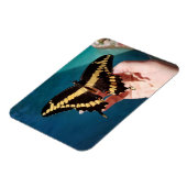 Reuzenpagesvlinder Magneet (Linkerzijde)