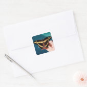 Reuzenpagesvlinder Vierkante Sticker (Envelop)
