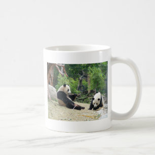 Reuzenpanda 大熊猫 koffiemok