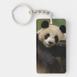 Reuzenpanda Ailuropoda melanoleuca) Familie Sleutelhanger