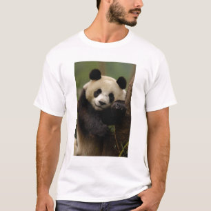 Reuzenpanda Ailuropoda melanoleuca) Familie T-shirt