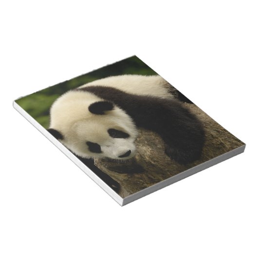 Reuzenpanda (Ailuropoda melanoleuca) Notitieblok (Schuin)