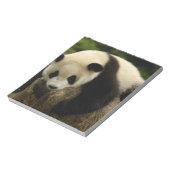 Reuzenpanda (Ailuropoda melanoleuca) Notitieblok (Linkerzijde)