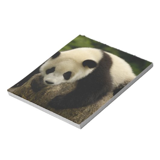 Reuzenpanda (Ailuropoda melanoleuca) Notitieblok (Linkerzijde)