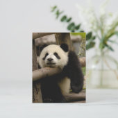 Reuzenpanda baby Ailuropoda melanoleuca) Briefkaart (Staand voorkant)