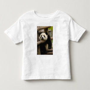 Reuzenpanda baby Ailuropoda melanoleuca) Kinder Shirts