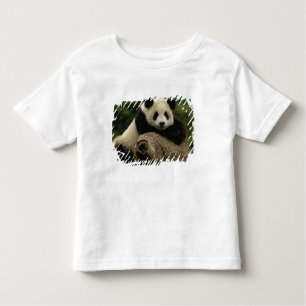 Reuzenpanda baby Ailuropoda melanoleuca) Kinder Shirts