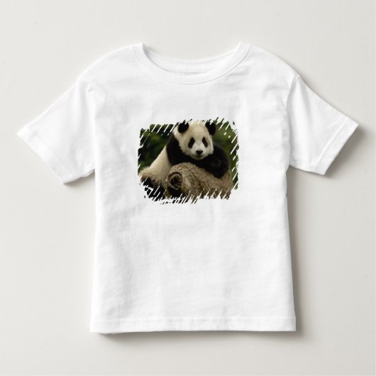 Reuzenpanda baby Ailuropoda melanoleuca) Kinder Shirts (Voorkant)