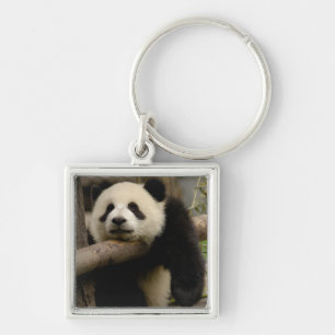 Reuzenpanda baby Ailuropoda melanoleuca) Sleutelhanger