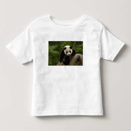Reuzenpanda baby kinder shirts (Voorkant)