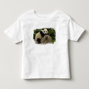 Reuzenpanda baby kinder shirts