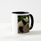 Reuzenpanda baby mok (Voorkant rechts)