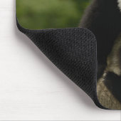 Reuzenpanda baby muismat (Hoek)