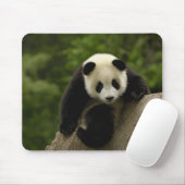 Reuzenpanda baby muismat (Met muis)