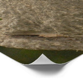 Reuzenpanda baby poster (Hoek)