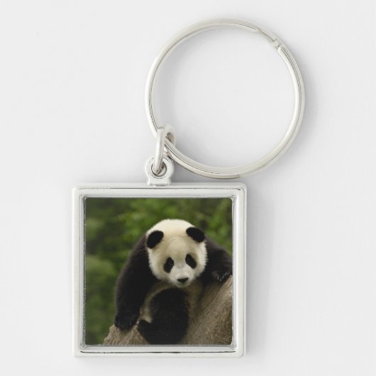 Reuzenpanda baby sleutelhanger (Voorkant)
