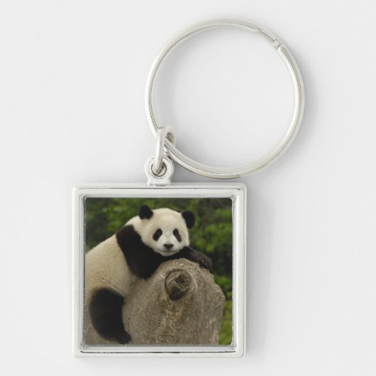 Reuzenpanda baby sleutelhanger (Voorkant)