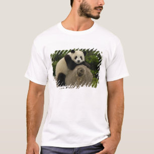 Reuzenpanda baby t-shirt