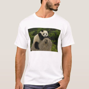 Reuzenpanda baby t-shirt
