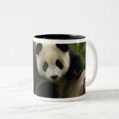 Reuzenpanda baby tweekleurige koffiemok (Voorkant rechts)
