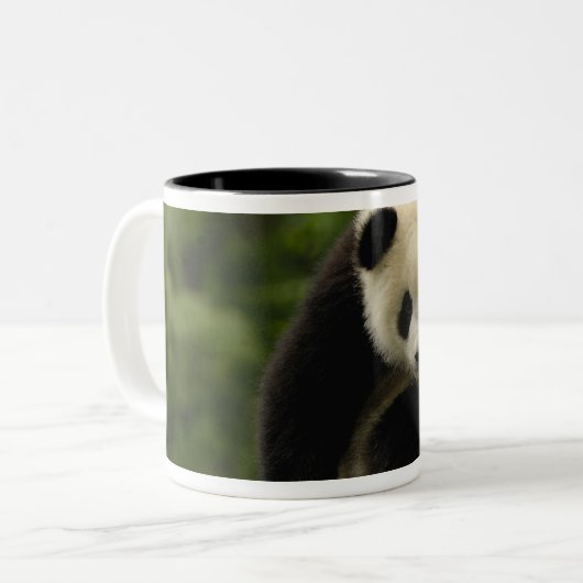 Reuzenpanda baby tweekleurige koffiemok (Voorkant links)