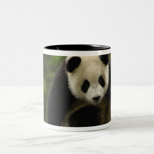 Reuzenpanda baby tweekleurige koffiemok (Center)