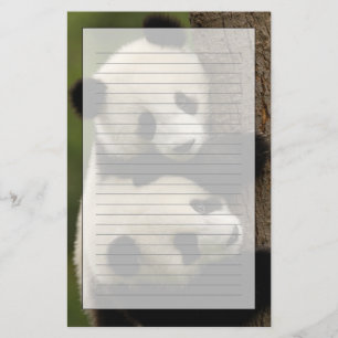 Reuzenpanda baby's (Ailuropoda melanoleuca) 2 Briefpapier
