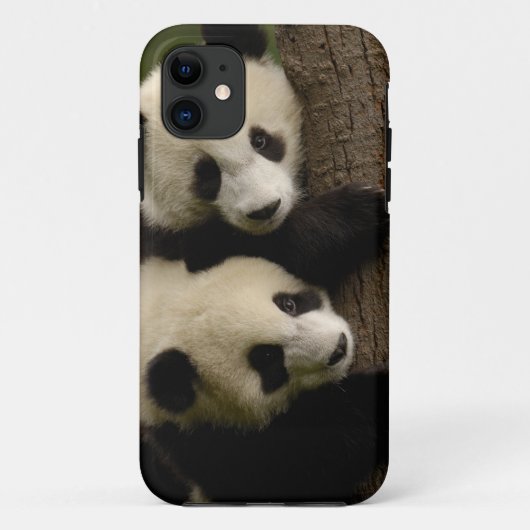 Reuzenpanda baby's (Ailuropoda melanoleuca) 2 Case-Mate iPhone Case (Achterkant)