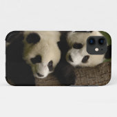 Reuzenpanda baby's (Ailuropoda melanoleuca) 2 Case-Mate iPhone Case (Achterkant (horizontaal))