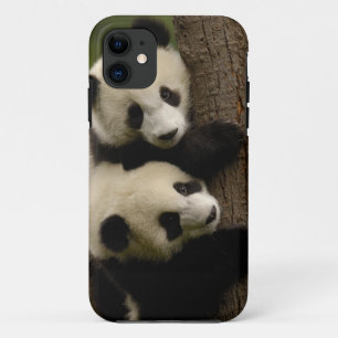 Reuzenpanda baby's (Ailuropoda melanoleuca) 2 iPhone 11 Hoesje
