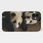 Reuzenpanda baby's (Ailuropoda melanoleuca) 2 Case-Mate iPhone Case (Achterkant (horizontaal))