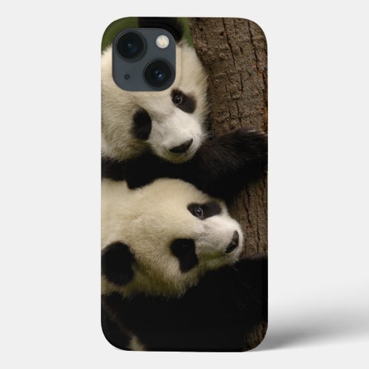 Reuzenpanda baby's (Ailuropoda melanoleuca) 2 Case-Mate iPhone Case (Achterkant)