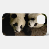 Reuzenpanda baby's (Ailuropoda melanoleuca) 2 Case-Mate iPhone Case (Achterkant (horizontaal))