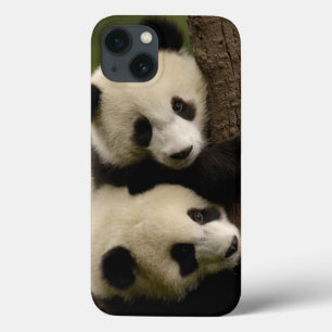 Reuzenpanda baby's (Ailuropoda melanoleuca) 2 Case-Mate iPhone Case