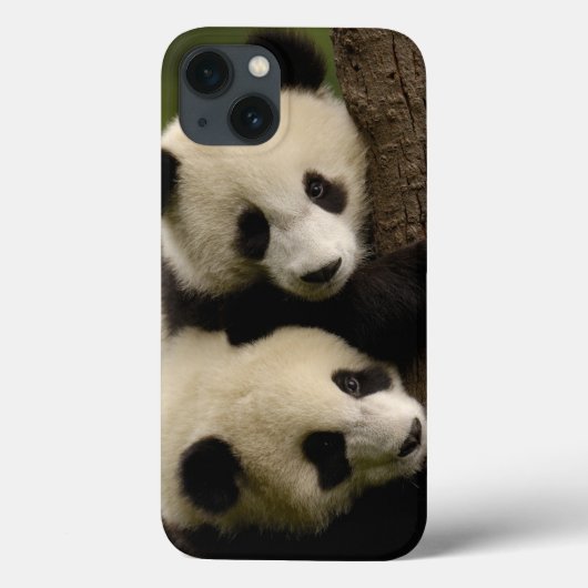 Reuzenpanda baby's (Ailuropoda melanoleuca) 2 Case-Mate iPhone Case (Achterkant)