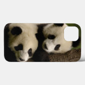 Reuzenpanda baby's (Ailuropoda melanoleuca) 2 Case-Mate iPhone Case (Achterkant (horizontaal))