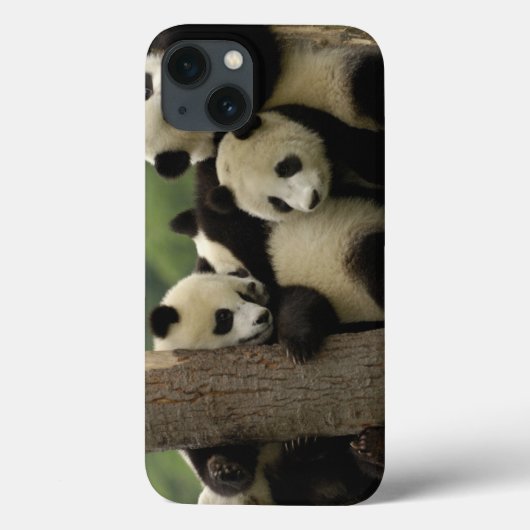 Reuzenpanda baby's Ailuropoda melanoleuca) Case-Mate iPhone Case (Achterkant)