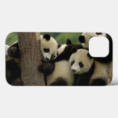 Reuzenpanda baby's Ailuropoda melanoleuca) Case-Mate iPhone Case (Achterkant (horizontaal))