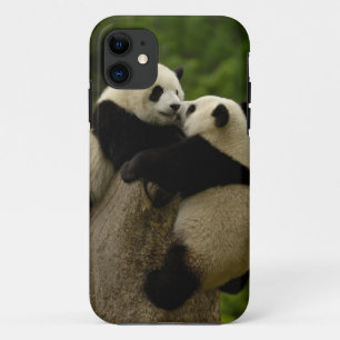 Reuzenpanda baby's (Ailuropoda melanoleuca) iPhone 11 Hoesje