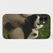 Reuzenpanda baby's (Ailuropoda melanoleuca) Case-Mate iPhone Case (Achterkant (horizontaal))