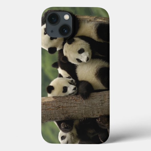 Reuzenpanda baby's Ailuropoda melanoleuca) Case-Mate iPhone Case (Achterkant)