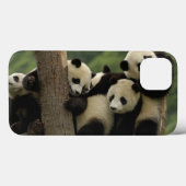 Reuzenpanda baby's Ailuropoda melanoleuca) Case-Mate iPhone Case (Achterkant (horizontaal))